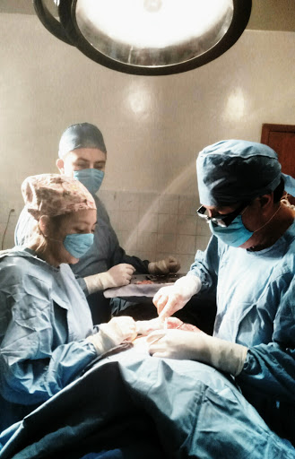 Especialidades Médicas
