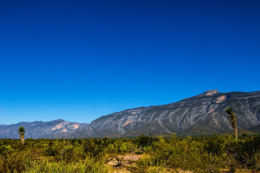 Bustamante