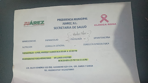 Clinica Rosa De Juarez