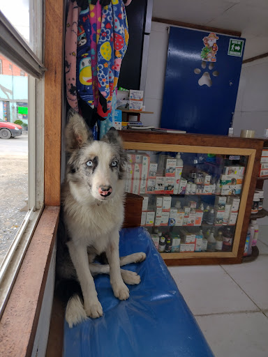 VetTerán