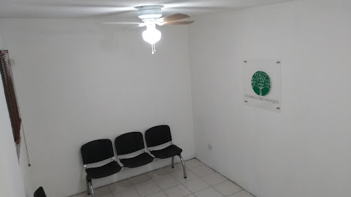 Clinica Del Bosque