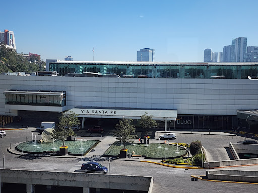 Clínica de Fisioterapia en Ciudad de México - Up Therapy Mx Miguel Hidalgo