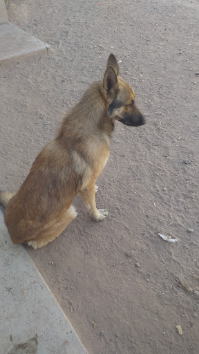 Veterinaria La Granja