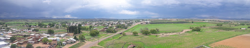 Basúchil