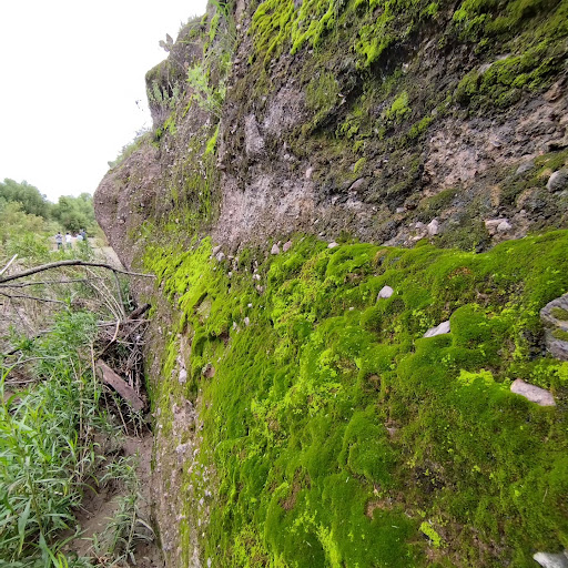 Rancho Guadalupe, Belisario Domínguez