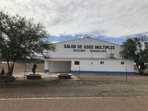 Clinica Ejido Guadalupe