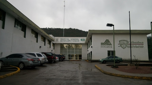 Hospital General de Guadalupe y Calvo