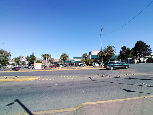 IMSS