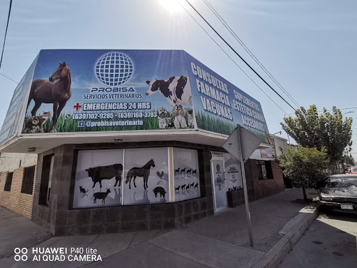 PROBISA Veterinaria