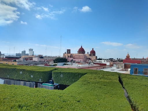 Peña de Bernal - Zona de Escalada