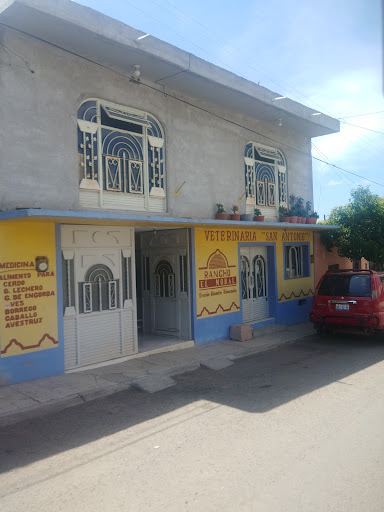 Colon