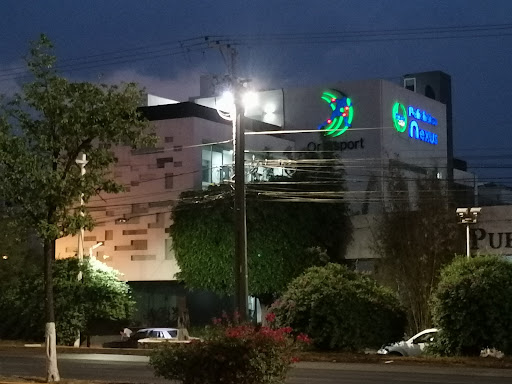 Policlinica Nexus