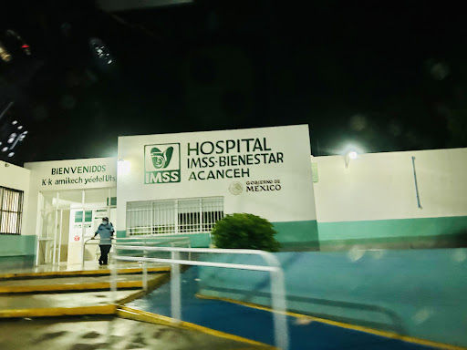 Instituto Mexicano Del Seguro Social