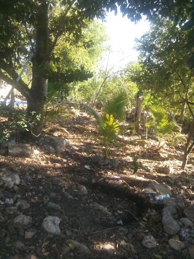 Kiní