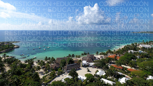 Centro Ecologico Akumal