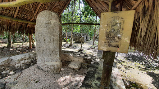 Cobá