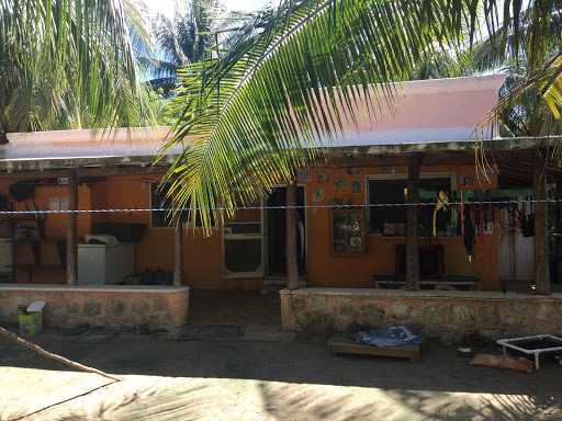 Refugio Animal Holbox