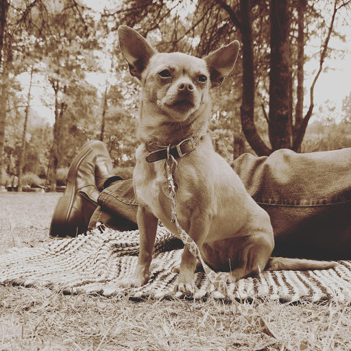 Clínica veterinaria XiSan