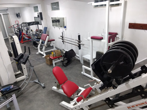 The Doors Gym