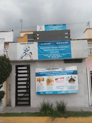 Torre Medica las Americas