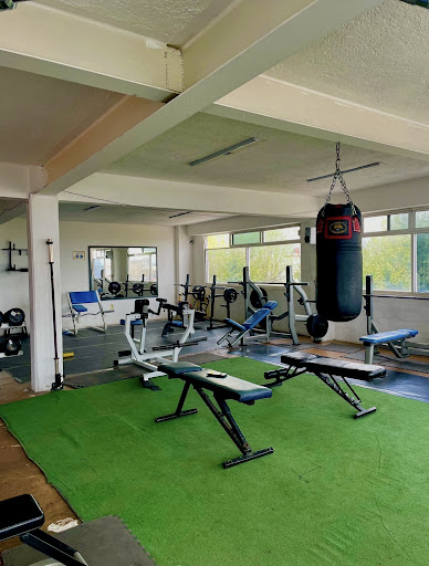 LUTER GYM