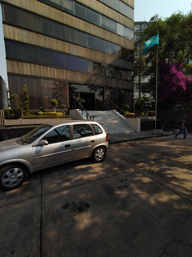 Clínica Palmas