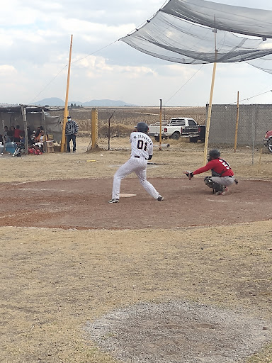 Campo De Baseball "Caro"