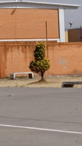 Conjunto urbano La Loma 1 lomas del valle 40A