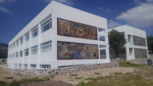 Zendo Teotihuacan Acupuntura
