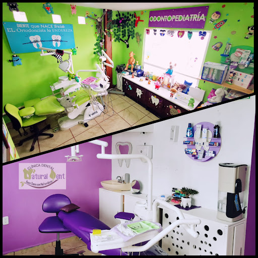 Dentista Clínica Dental "NATURAL DENT TEOTIHUACÁN”