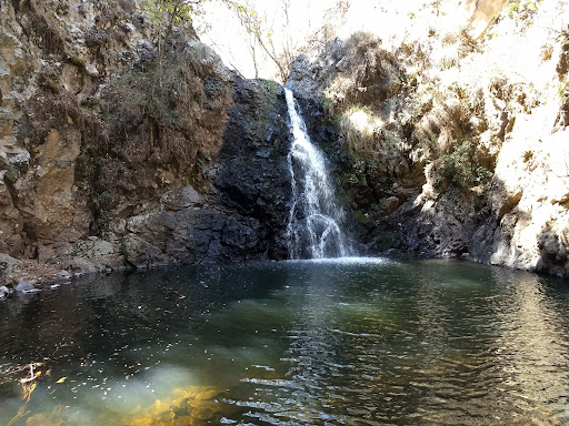 Parque Ejido De Detiña