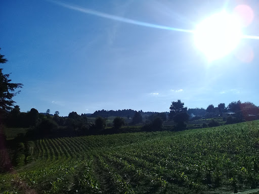 Campo de futbol San José
