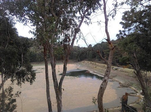 El Ocotal