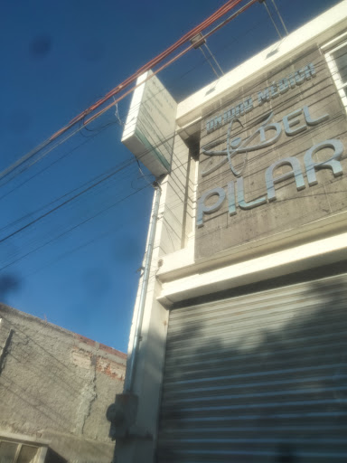 UNIDAD MÉDICA DEL PILAR