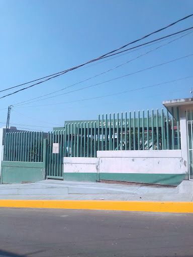 IMSS Bienestar - Centro De Salud Urbano "El Pino"