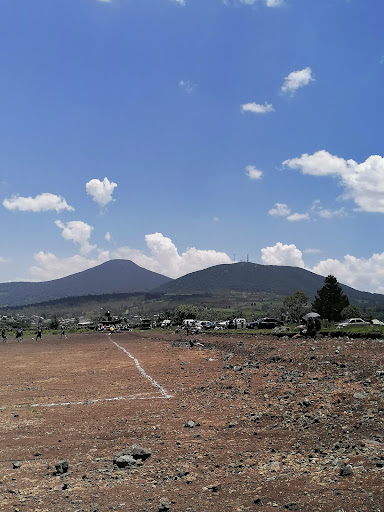 Campo El rosal