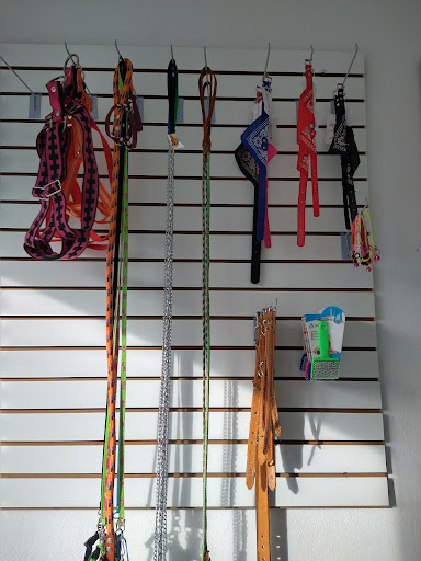 Sinuvet Clínica Veterinaria
