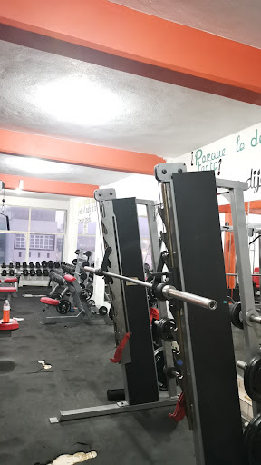 TAURO GYM