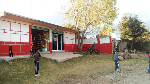 Zaragoza, Ejido De Fresno Nichi