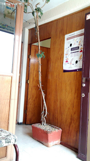 Unidad Médica Fuentes del Valle