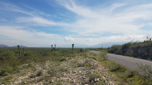 La Unión y El Cardonal