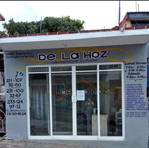 Laboratorios Clínicos de la Hoz Suc. Ayotoxco