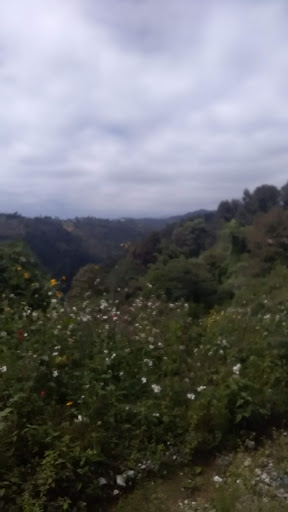 Chichiquila