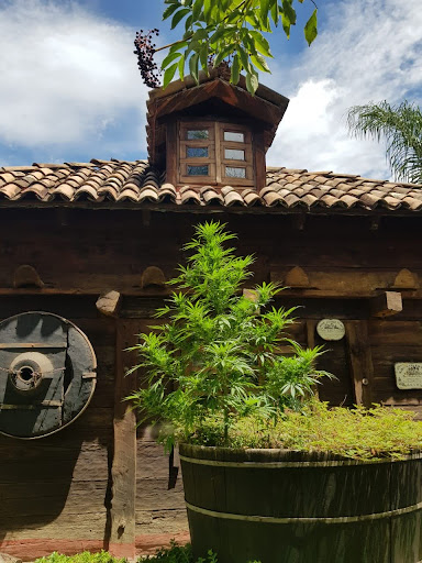 Clinica de la Salud