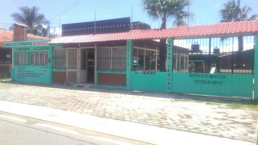 Clínica veterinaria MENESES