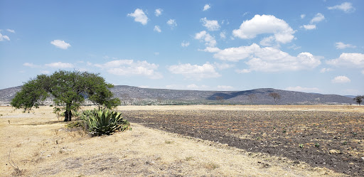 Coyotepec