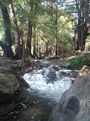 Huejonapan