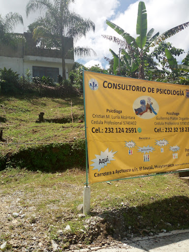 Consultorio de Psicologia