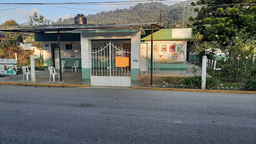IMSS