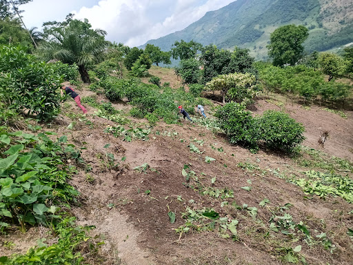 Jalpan